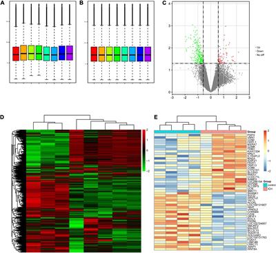 Identification of Candidate Blood mRNA Biomarkers in Intracerebral Hemorrhage Using Integrated Microarray and Weighted Gene Co-expression Network Analysis